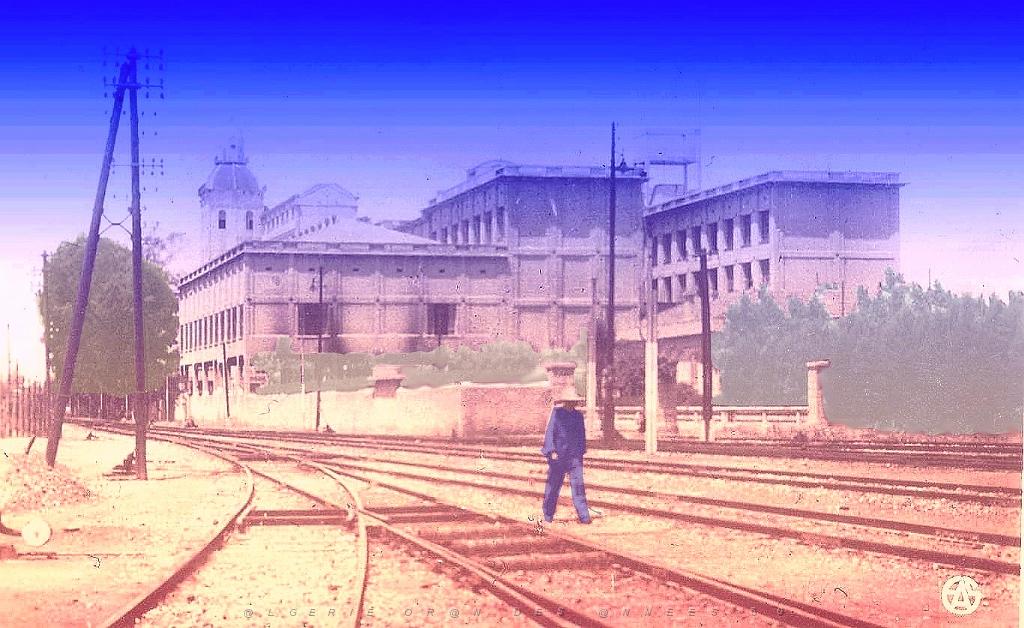 Relizane 524- Docks cooperatifs.jpg